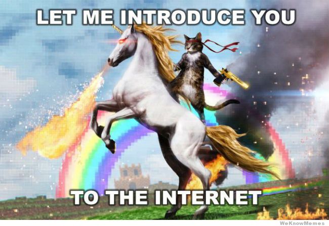Intro to Internet
